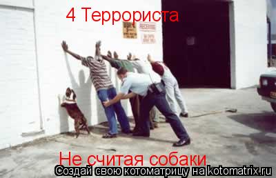 Котоматрица: 4 Террориста Не считая собаки