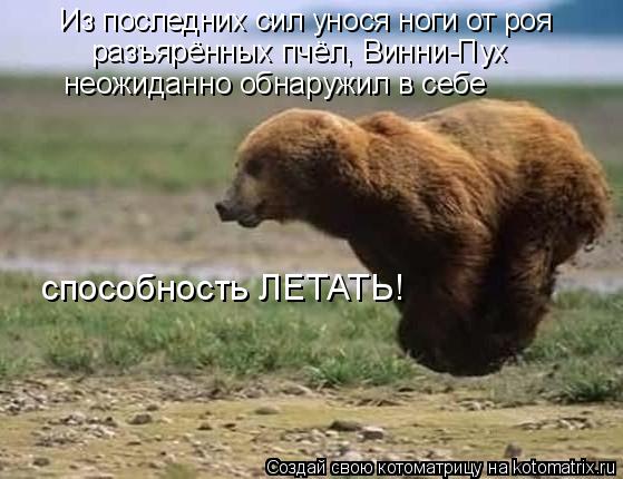 Из последних сил унося ноги от роя разъярённых пчёл, Винни-Пух неожиданно обнаружил в себе способност... Котоматрица: Из последних сил унося ноги от роя разъярённых пчёл, Винни-Пух неожиданно обнаружил в себе способность ЛЕТАТЬ!