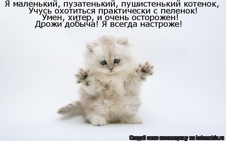 Котоматрица: Я маленький, пузатенький, пушистенький котенок, Учусь охотиться практически с пеленок! Умен, хитер, и очень осторожен! Дрожи добыча! Я всегд