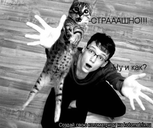 -Ну и как? -СТРАААШНО!!!... Котоматрица: -Ну и как? -СТРАААШНО!!!