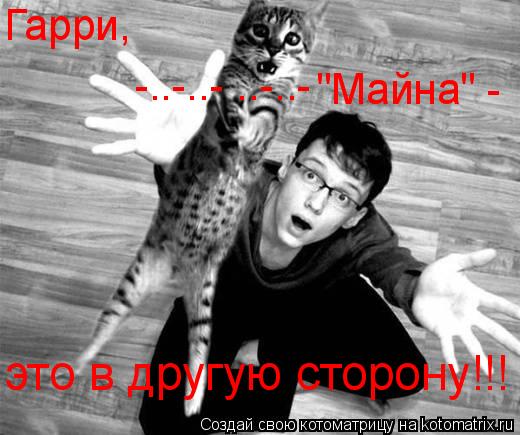 Котоматрица: это в другую сторону!!! Гарри,  -..-..- ..-..- "Майна" -