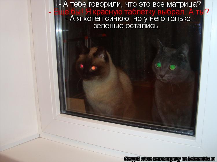 Котоматрица: - А тебе говорили, что это все матрица? - Еще бы! Я красную таблетку выбрал. А ты? -  - А я хотел синюю, но у него только зеленые остались.