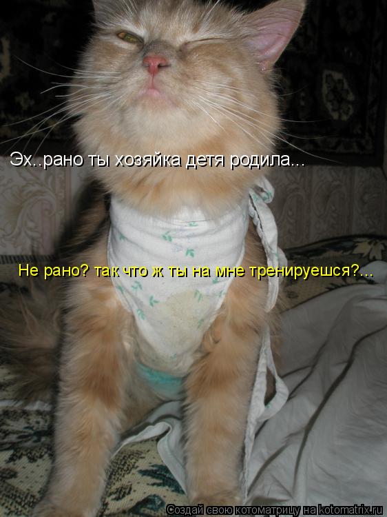 Котоматрица: Эх..рано ты хозяйка детя родила... Не рано? так что ж ты на мне тренируешся?...