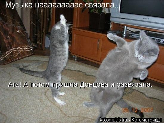 Котоматрица: Ага! А потом пришла Донцова и развязала.
