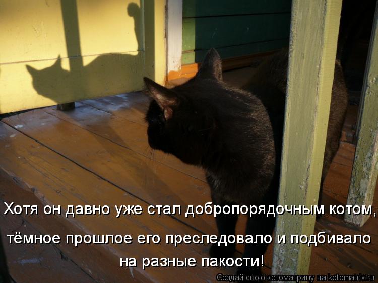 Хотя он давно уже стал добропорядочным котом, тёмное прошлое его преследовало и подбивало на разные ... Котоматрица: Хотя он давно уже стал добропорядочным котом, тёмное прошлое его преследовало и подбивало на разные пакости! на разные пакости!