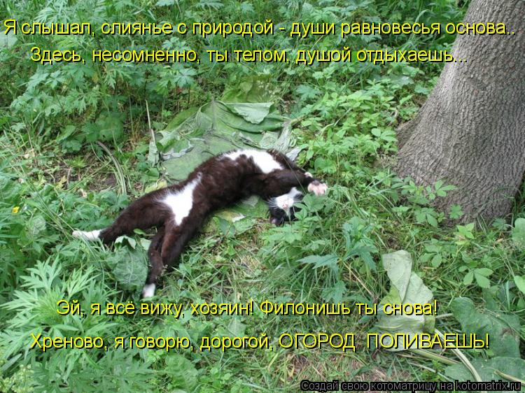 Здесь, несомненно, ты телом, душой отдыхаешь... Я слышал, слиянье с природой - души равновесья основа... Котоматрица: Здесь, несомненно, ты телом, душой отдыхаешь... Я слышал, слиянье с природой - души равновесья основа.. Эй, я всё вижу, хозяин! Филонишь ты снова