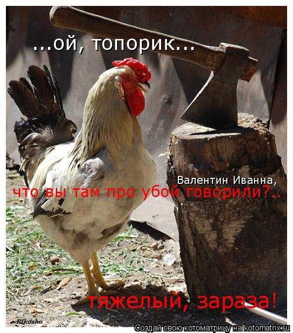 Котоматрица: ...ой, топорик... Валентин Иванна,  тяжелый, зараза! что вы там про убой говорили?..