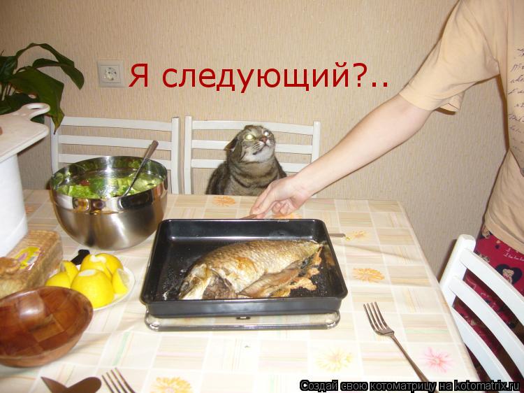 Котоматрица: Я следующий?..