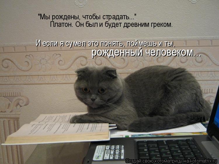 Котоматрица: И если я сумел это понять, поймешь и ты, рожденный человеком... Платон. Он был и будет древним греком. "Мы рождены, чтобы страдать..."