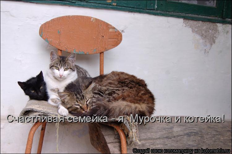 Котоматрица: Счастливая семейка - я, Мурочка и котейка!