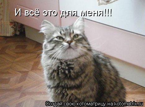 Котоматрица: И всё это для меня!!!