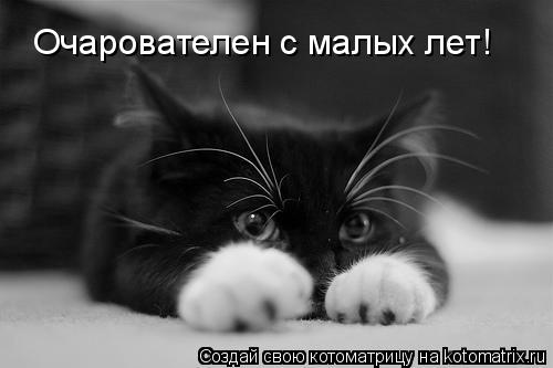 Очарователен с малых лет!... Котоматрица: Очарователен с малых лет!