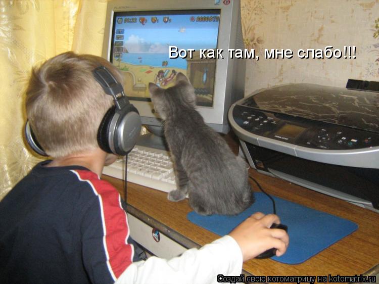 Котоматрица: Вот как там, мне слабо!!!