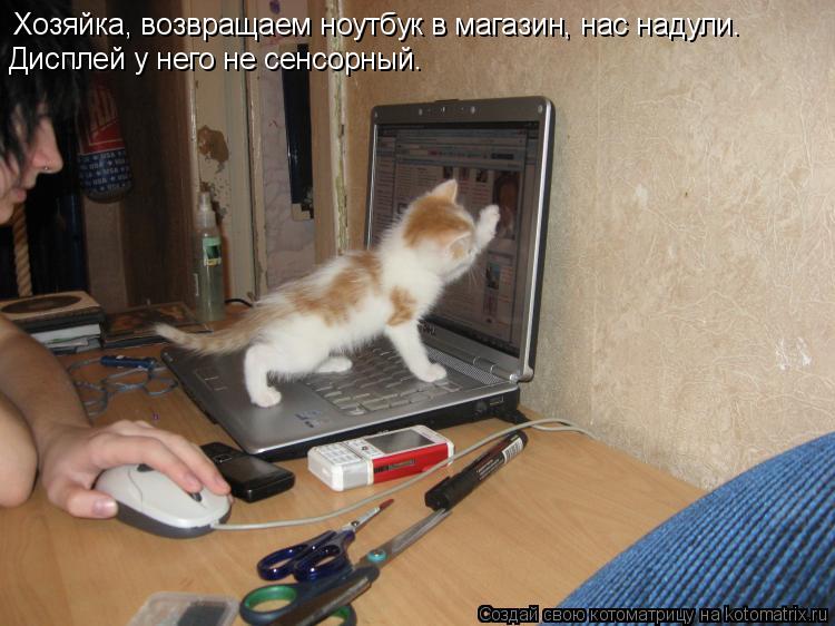 Котоматрица: Хозяйка, возвращаем ноутбук в магазин, нас надули. Дисплей у него не сенсорный.
