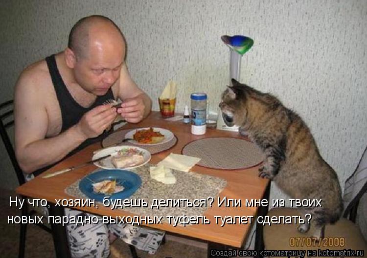 Котоматрица: Ну что, хозяин, будешь делиться? Или мне из твоих новых парадно-выходных туфель туалет сделать?