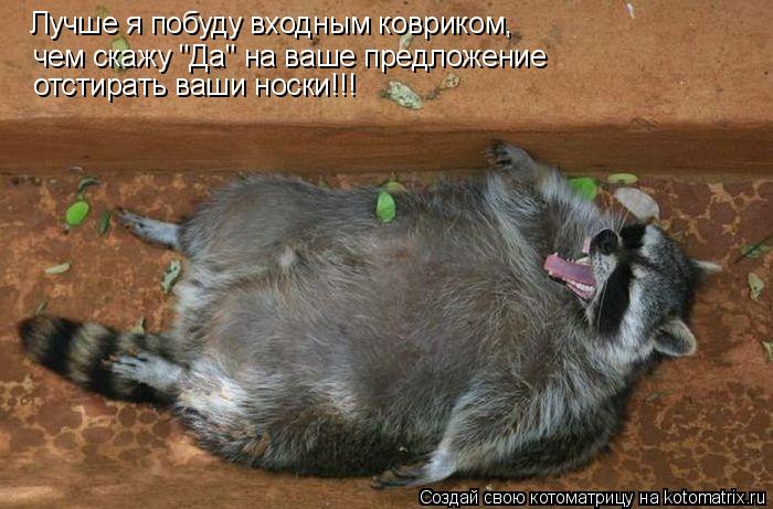 Котоматрица: Лучше я побуду входным ковриком, чем скажу "Да" на ваше предложение отстирать ваши носки!!!