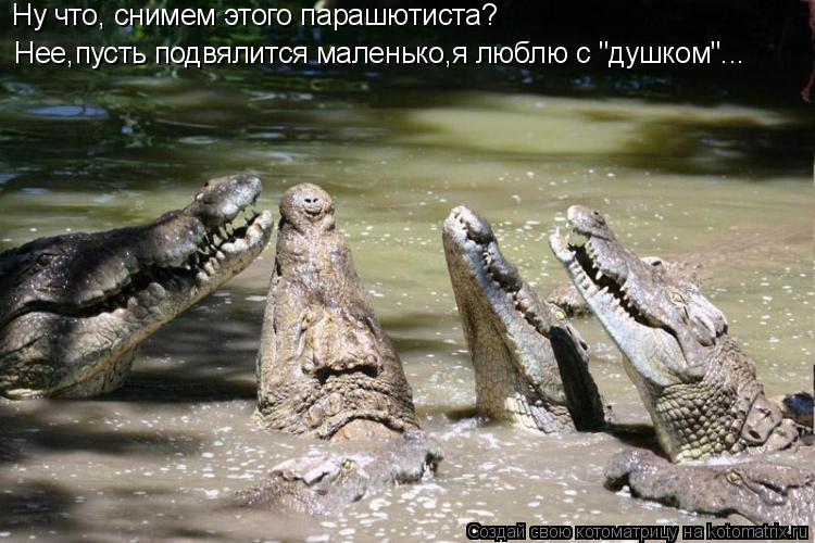 Котоматрица: Нее,пусть подвялится маленько,я люблю с "душком"... Ну что, снимем этого парашютиста?