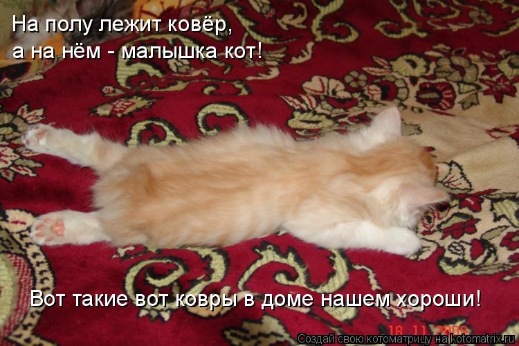 Котоматрица: На полу лежит ковёр, а на нём - малышка кот! Вот такие вот ковры в доме нашем хороши!