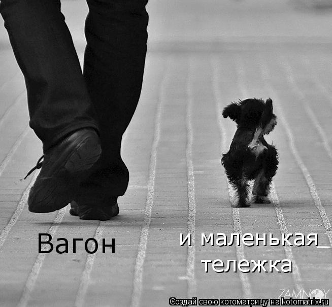 Вагон и маленькая тележка... Котоматрица: Вагон и маленькая тележка