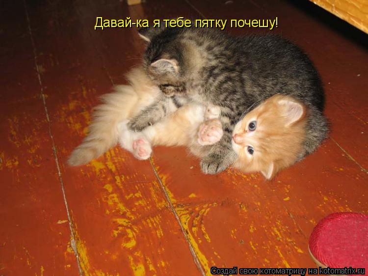 Котоматрица: Давай-ка я тебе пятку почешу!