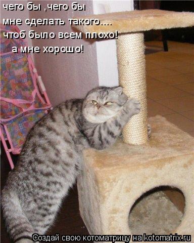 Котоматрица: чего бы ,чего бы мне сделать такого.... чтоб было всем плохо! а мне хорошо!