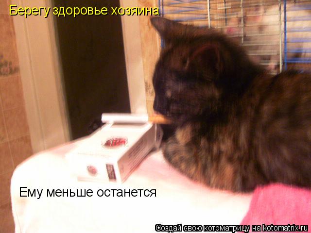 Котоматрица: Берегу здоровье хозяина Ему меньше останется