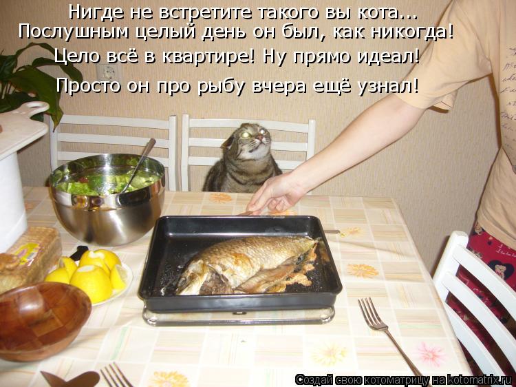 Нигде не встретите такого вы кота... Послушным целый день он был, как никогда! Просто он про рыбу вче... Котоматрица: Нигде не встретите такого вы кота... Послушным целый день он был, как никогда! Просто он про рыбу вчера ещё узнал! Цело всё в квартире! Ну прям