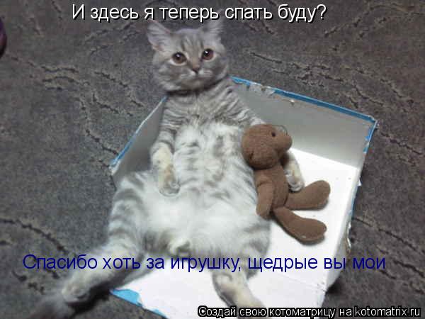 Котоматрица: И здесь я теперь спать буду?   Спасибо хоть за игрушку, щедрые вы мои