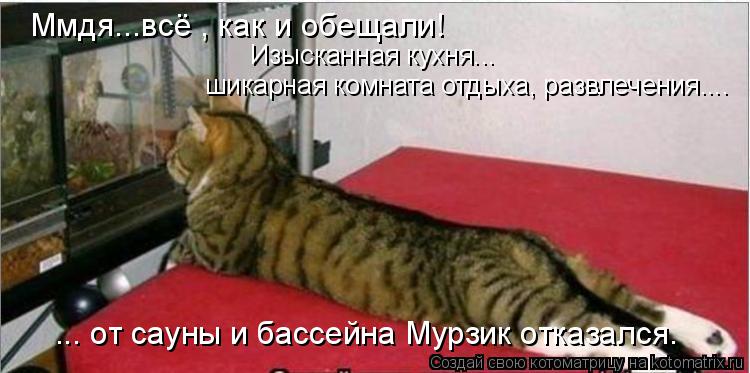 Ммдя...всё , как и обещали! ... от сауны и бассейна Мурзик отказался. Изысканная кухня... шикарная ... Котоматрица: Ммдя...всё , как и обещали! ... от сауны и бассейна Мурзик отказался. Изысканная кухня... шикарная комната отдыха, развлечения....