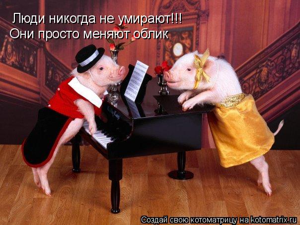 Котоматрица: Люди никогда не умирают!!! Они просто меняют облик