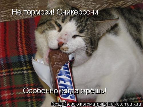 Котоматрица: Не тормози! Сникерссни Особенно когда жрёшь!