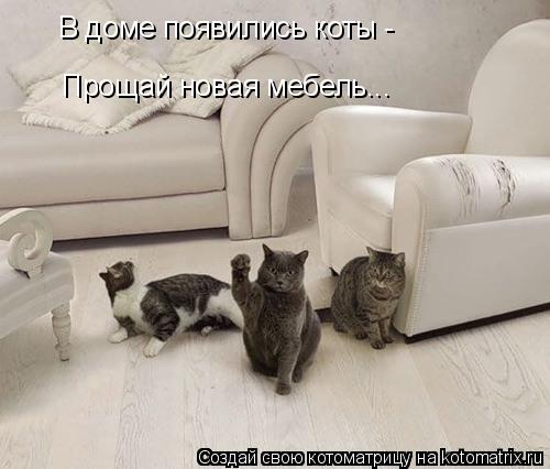 Котоматрица: В доме появились коты - Прощай новая мебель...