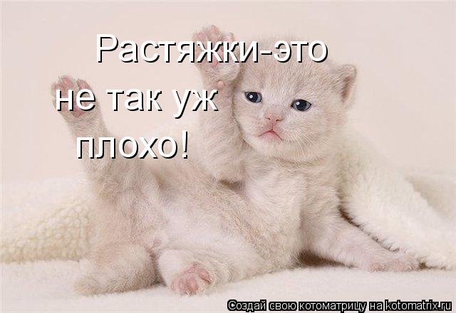 Котоматрица: Растяжки-это не так уж плохо!