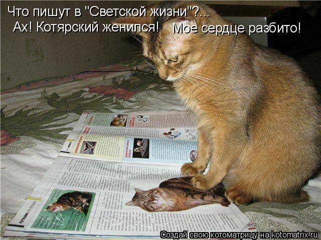 Что пишут в "Светской жизни"?... Ах! Котярский женился! Мое сердце разбито!... Котоматрица: Что пишут в "Светской жизни"?... Ах! Котярский женился! Мое сердце разбито!