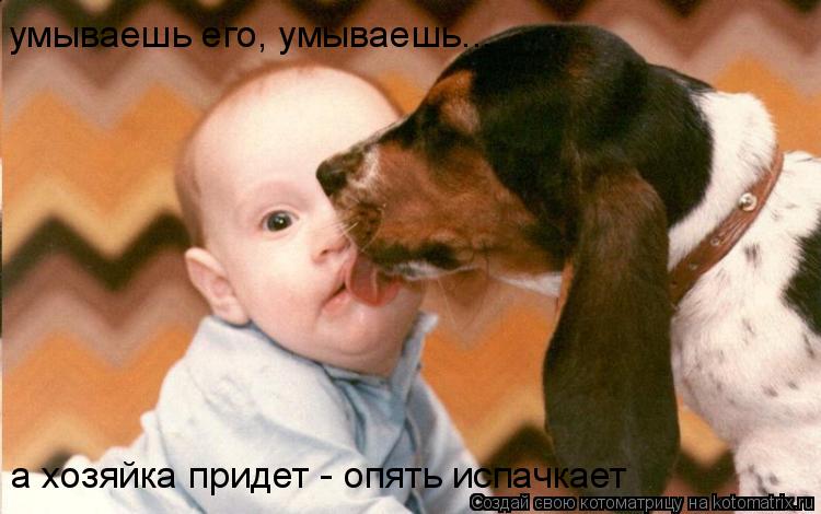 умываешь его, умываешь... а хозяйка придет - опять испачкает... Котоматрица: умываешь его, умываешь... а хозяйка придет - опять испачкает