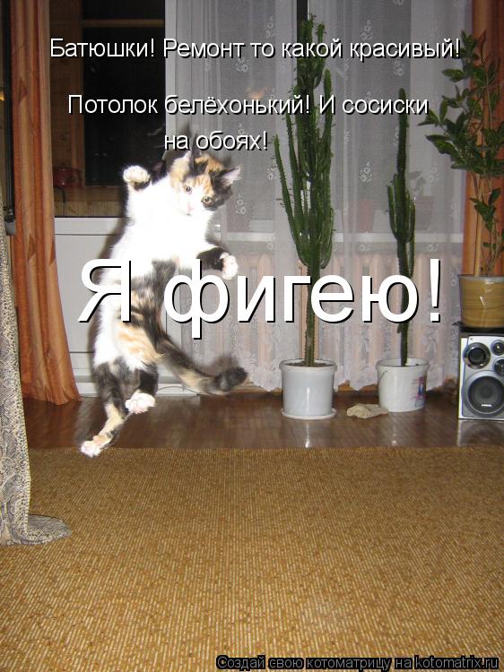 Котоматрица: Батюшки! Ремонт то какой красивый! Потолок белёхонький! И сосиски на обоях! Я фигею!