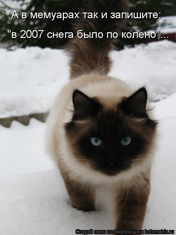Котоматрица: "в 2007 снега было по колено"... А в мемуарах так и запишите: