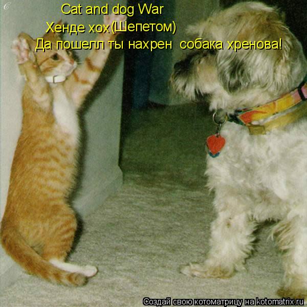 Котоматрица: Хенде хох (Шепетом) Да пошелл ты нахрен  собака хренова! Cat and dog War