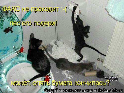 Котоматрица: ФАКС не проходит :-( пёс его подери! может, опять бумага кончилась?