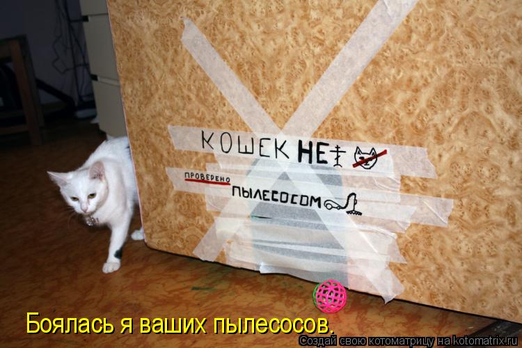Котоматрица: Боялась я ваших пылесосов.