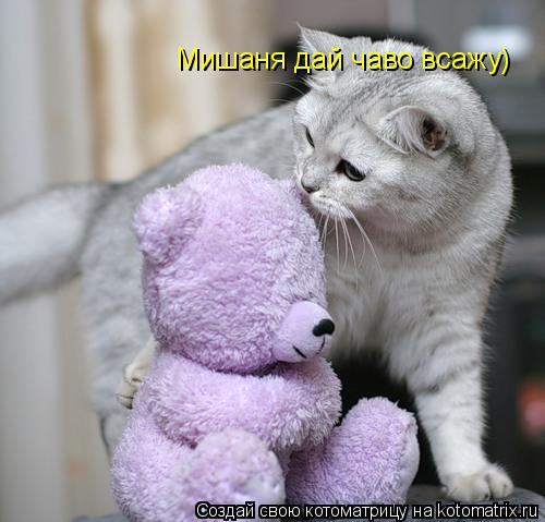 Котоматрица: Мишаня дай чаво всажу)