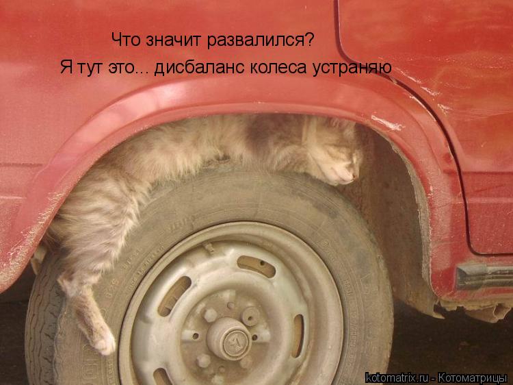 Котоматрица: Что значит развалился? Я тут это... дисбаланс колеса устраняю