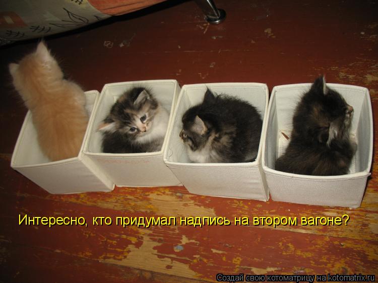 Котоматрица: Интересно, кто придумал надпись на втором вагоне?