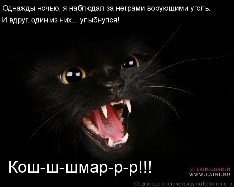 Кош-ш-шмар-р-р!!! Однажды ночью, я наблюдал за неграми ворующими уголь. И вдруг, один из них... улыб... Котоматрица: Кош-ш-шмар-р-р!!! Однажды ночью, я наблюдал за неграми ворующими уголь. И вдруг, один из них... улыбнулся!