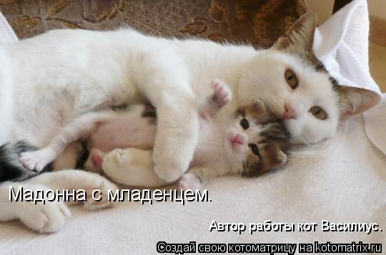 Котоматрица: Мадонна с младенцем. Автор работы кот Василиус.