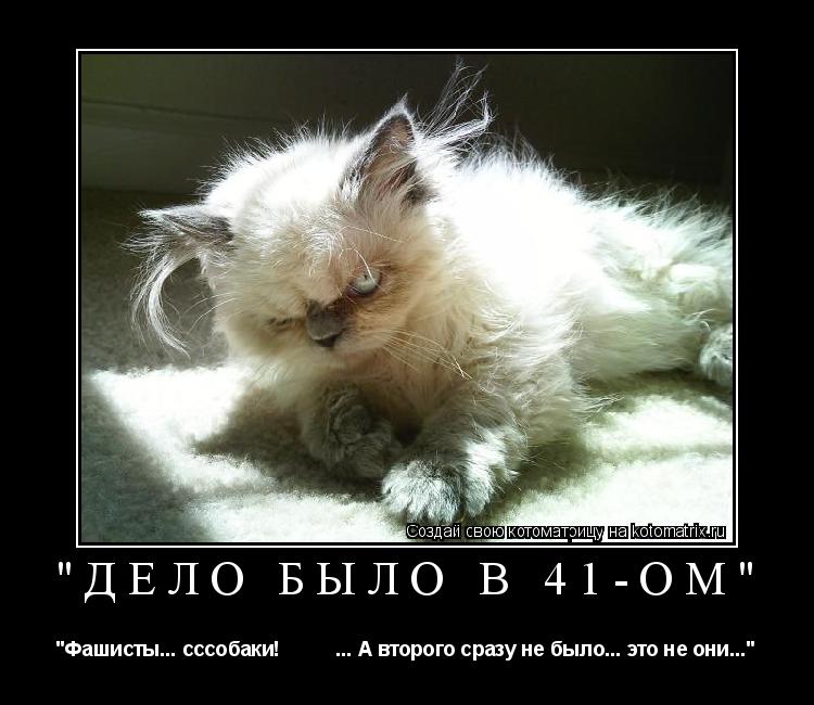 Котоматрица: "Дело было в 41-ом" "Фашисты... сссобаки!          ... А второго сразу не было... это не они..."