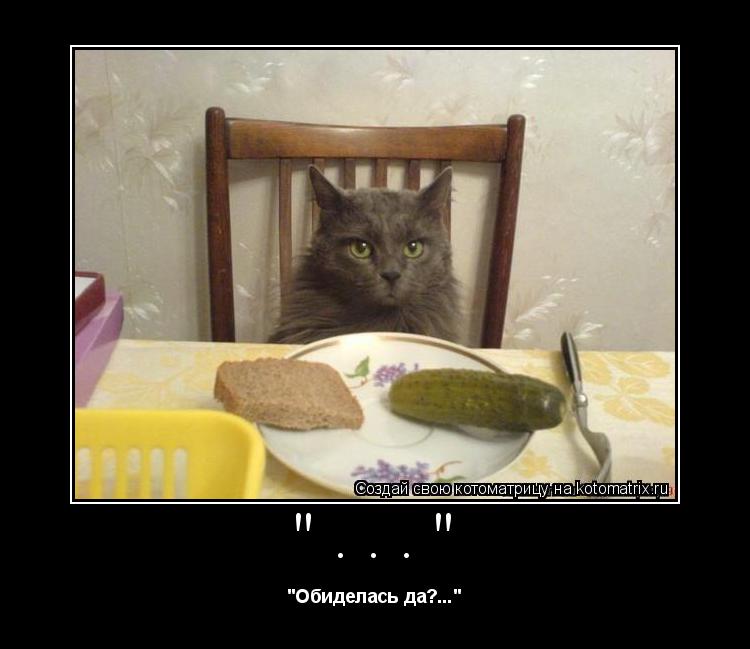 Котоматрица: "..." "Обиделась да?..."