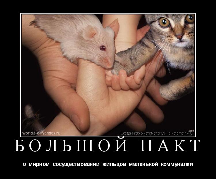 Большой Пакт о мирном сосуществовании жильцов маленькой коммуналки... Котоматрица: Большой Пакт о мирном сосуществовании жильцов маленькой коммуналки