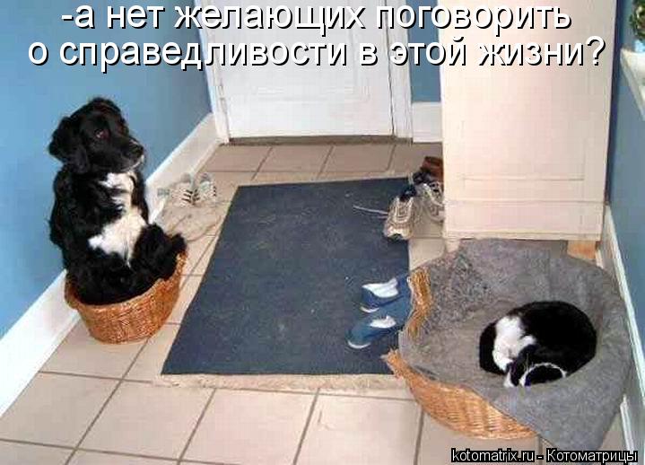 -а нет желающих поговорить о справедливости в этой жизни?... Котоматрица: -а нет желающих поговорить о справедливости в этой жизни?
