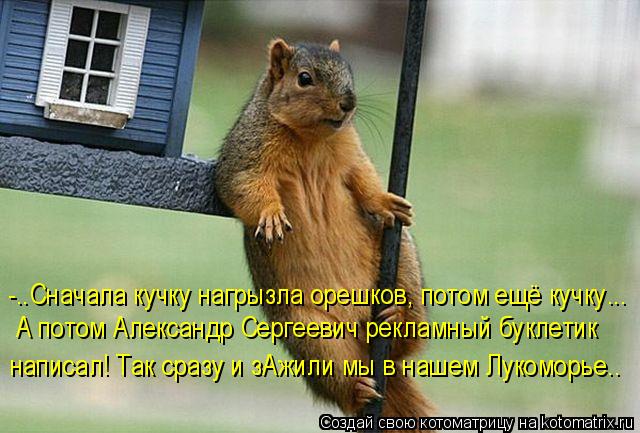 -..Сначала кучку нагрызла орешков, потом ещё кучку... А потом Александр Сергеевич рекламный буклетик ... Котоматрица: -..Сначала кучку нагрызла орешков, потом ещё кучку... А потом Александр Сергеевич рекламный буклетик написал! Так сразу и зАжили мы в нашем Лу